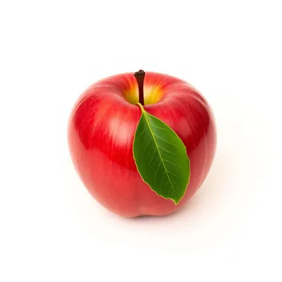 Apple Stem Cell