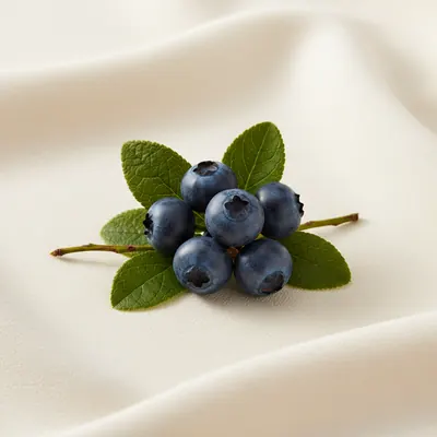 Bilberry Extract