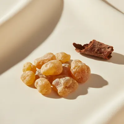 Boswellia Serrata Extract