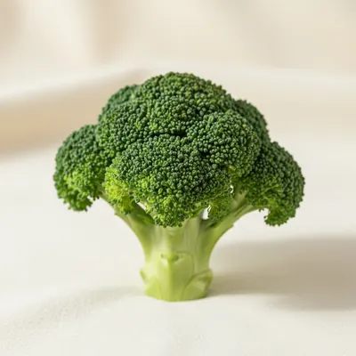 Broccoli Extract