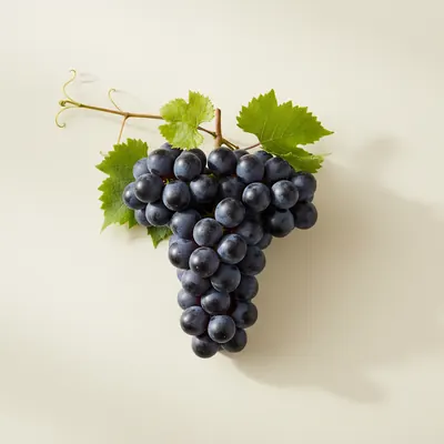 Grapes Extract